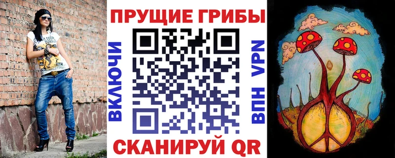 Псилоцибиновые грибы MAGIC MUSHROOMS  Купить  Солнечногорск 